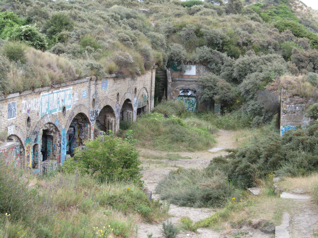 Dune Dewulf景点图片