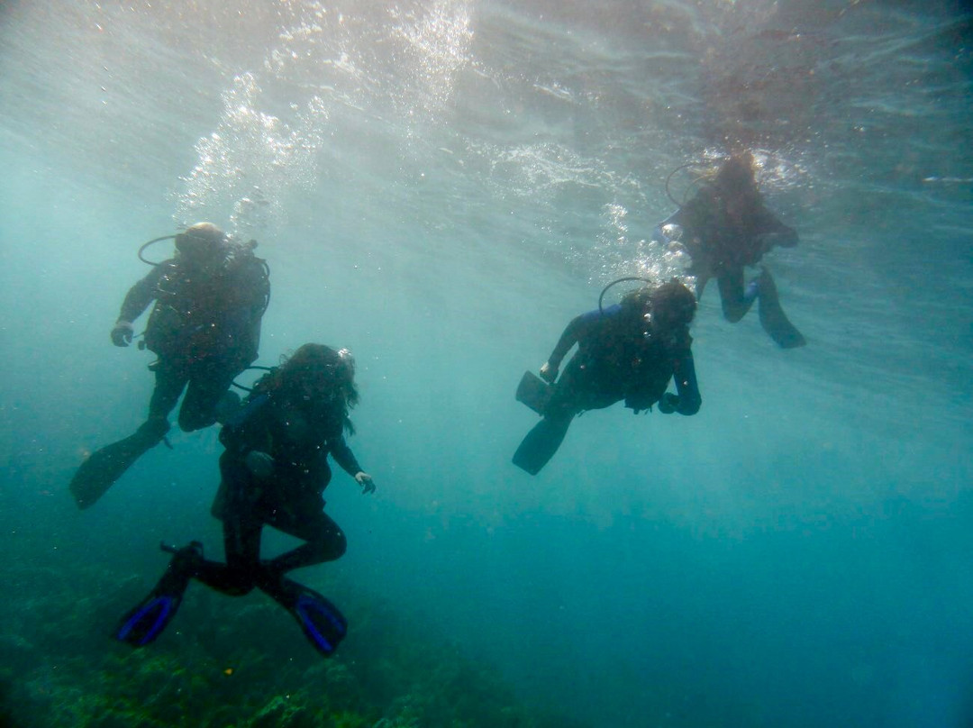 NeverDry Divers景点图片