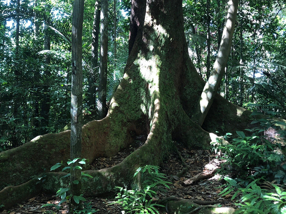 Sentier de la Mirande-Matoury必去景点