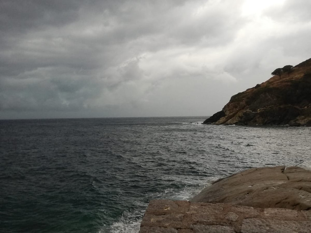 Scogliera del Calello e di Cala Maestrale景点图片