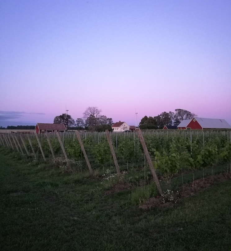 Sartshoga Wineyard B&B主图