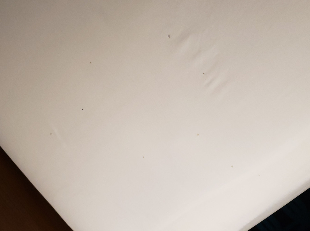 Fairfield Inn Boston Woburn/Burlington主图