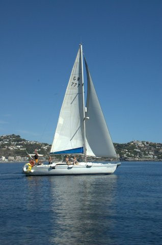 Suki Sailing Yacht Charter景点图片