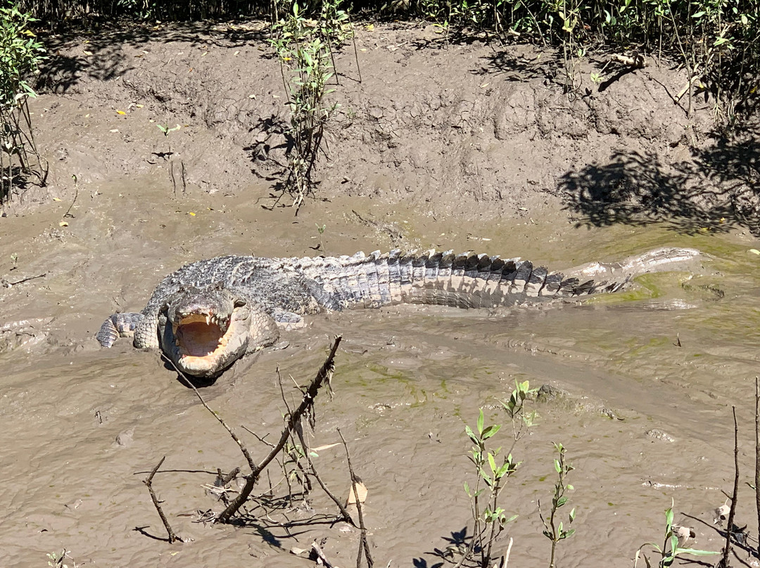 Crocodile Safari景点图片