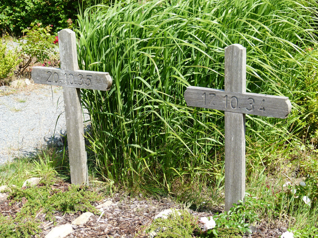 Friedhof der Namenlosen景点图片