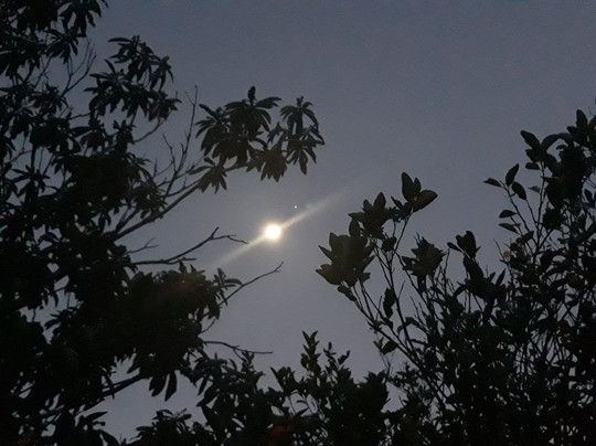 Recanto Haras São Roque主图