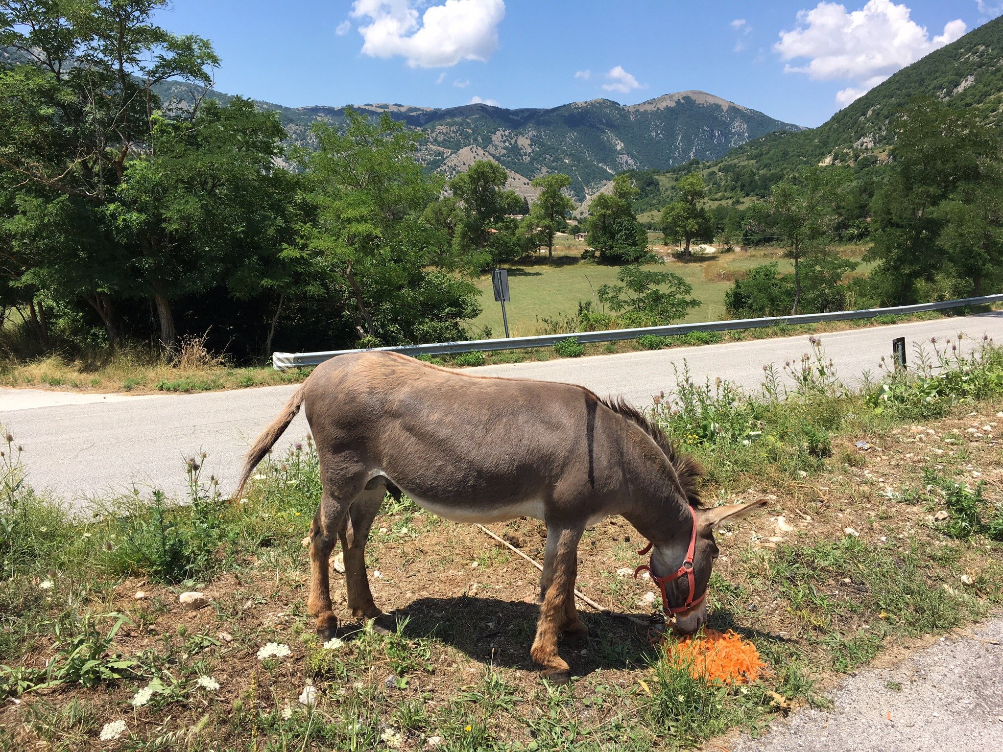 La Locanda Del Lago Lucciola-官方