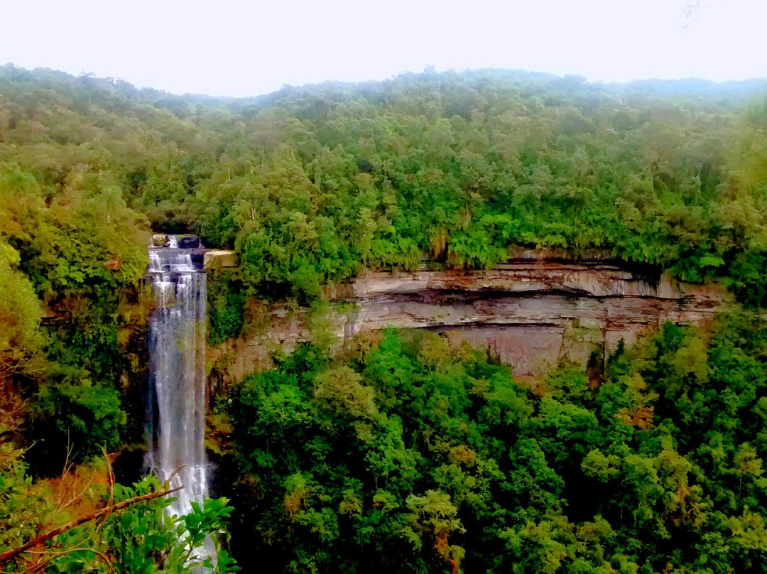Reserva Ecologica Serra da Leoa景点图片