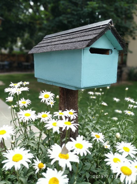 Albergue Pájaro Loco