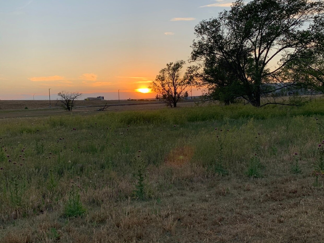 Palo Duro RV Park