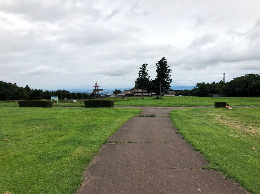 Michi-no-Eki Green Flower Farm Taiko-前桥县必去景点