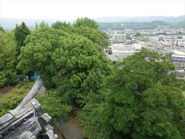 Kitsuki Castle景点图片