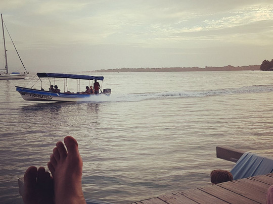 The Sea Monkey主图