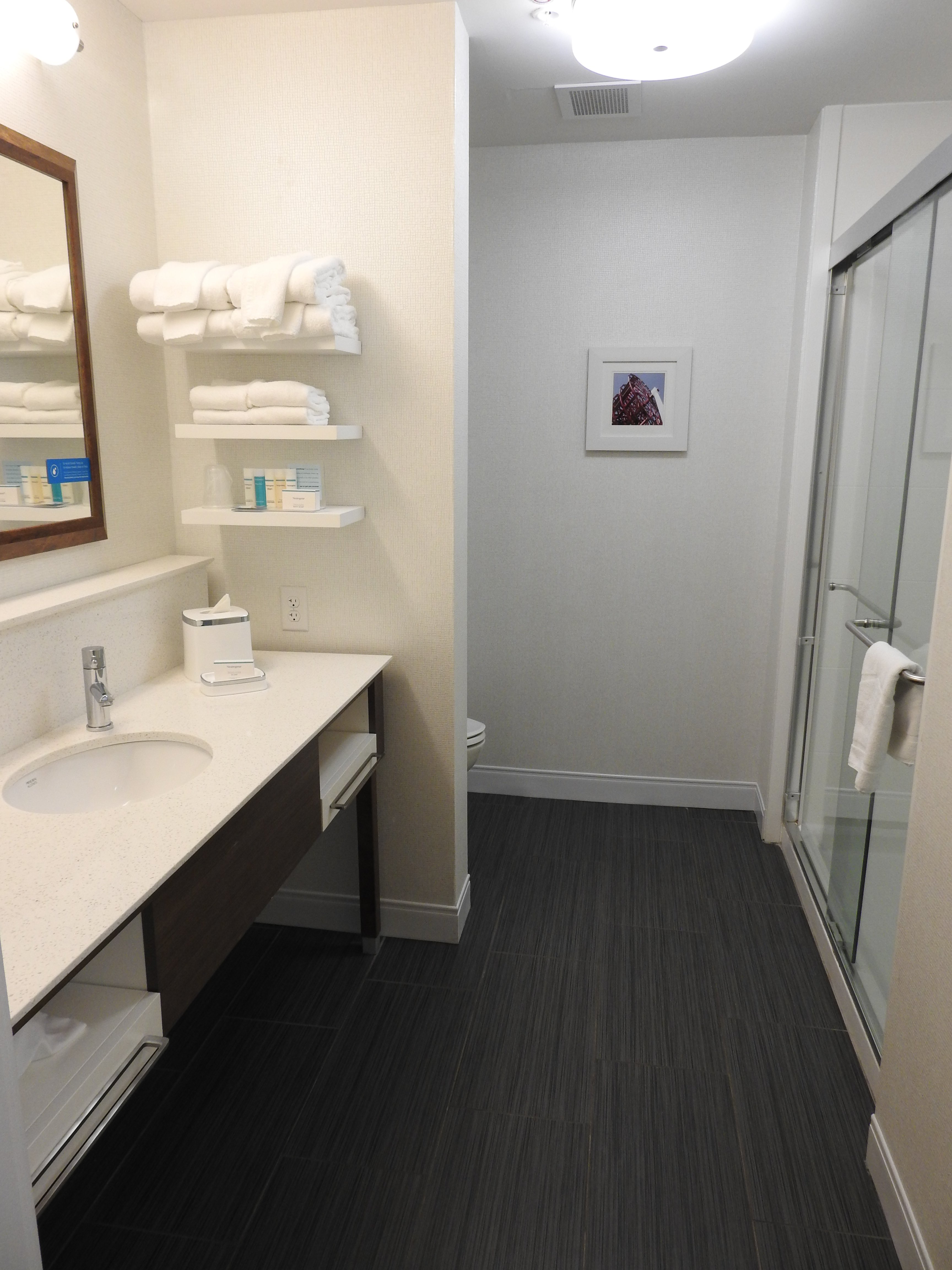 Hampton Inn Blue Ash Cincinnati-浴室