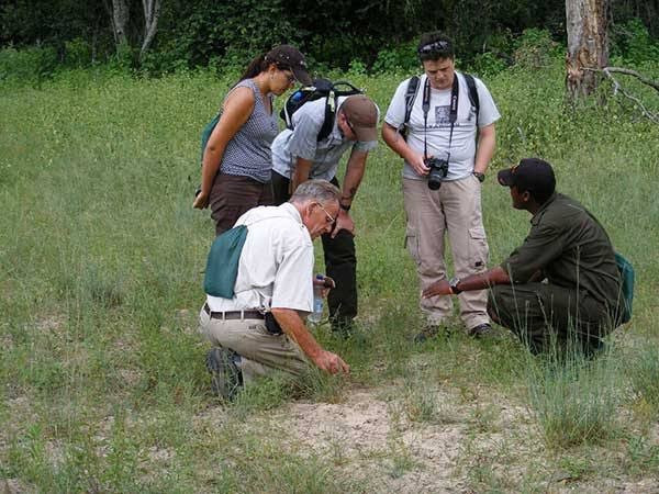 Livingstone Rhino Safaris-李文斯顿必去景点