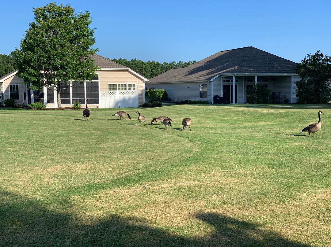 The International Club of Myrtle Beach景点图片