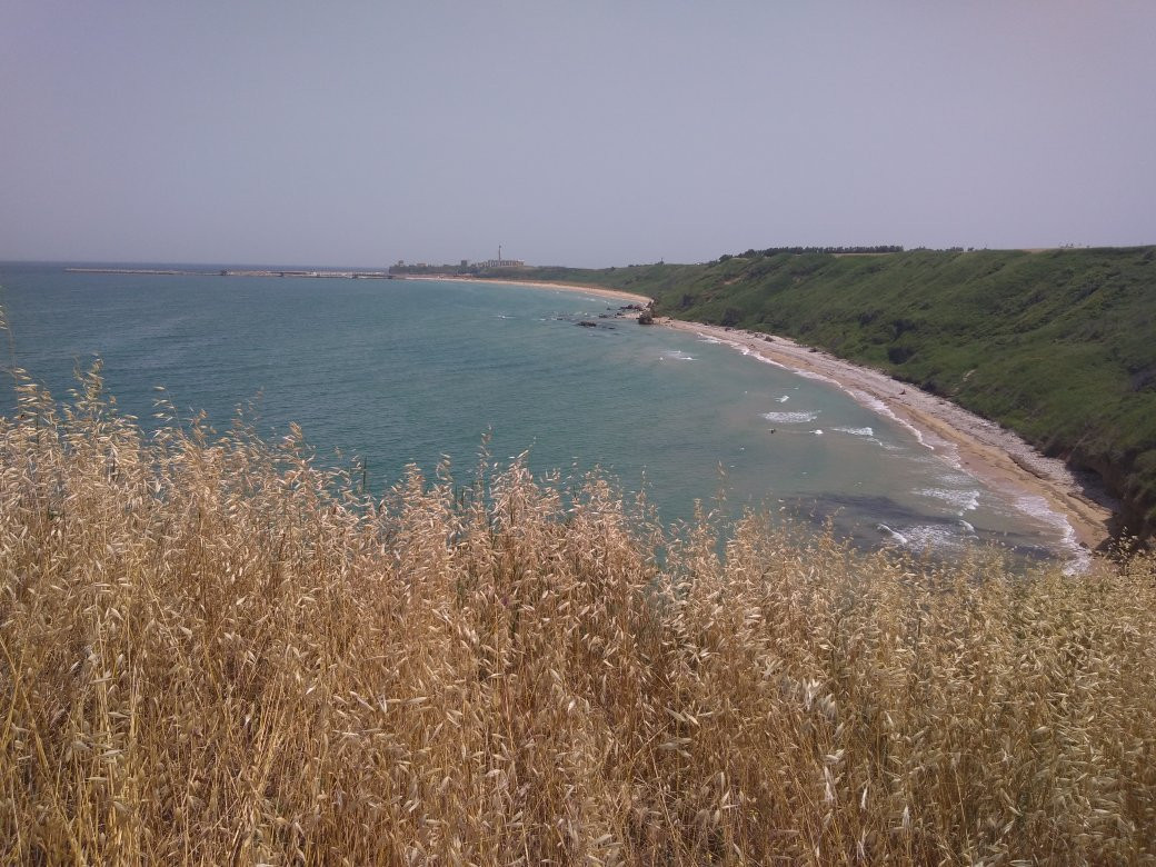 Spiaggia di Mottagrossa景点图片