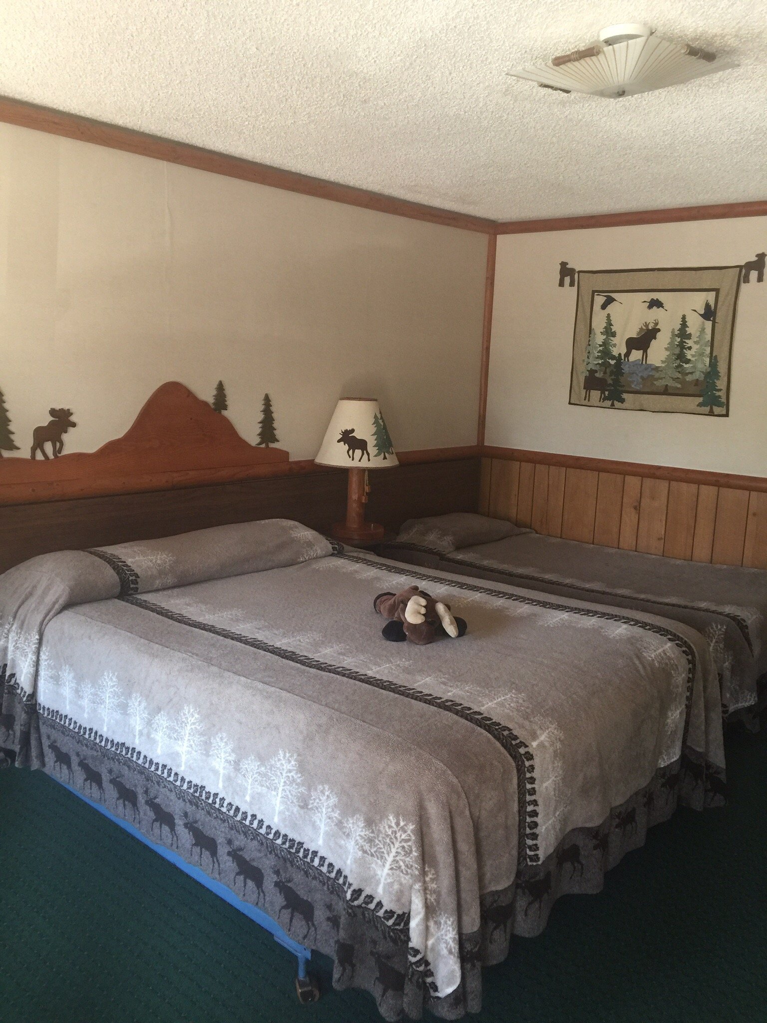 The Scandia Inn-官方