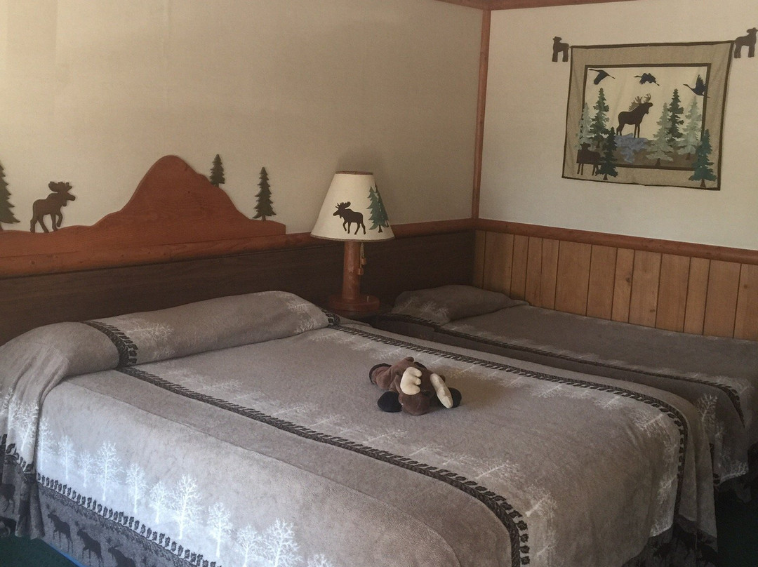 The Scandia Inn主图