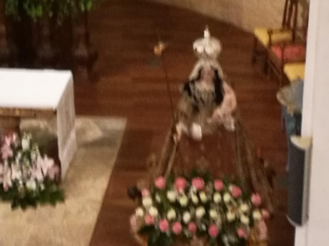 Santuario de la Virgen Peregrina景点图片