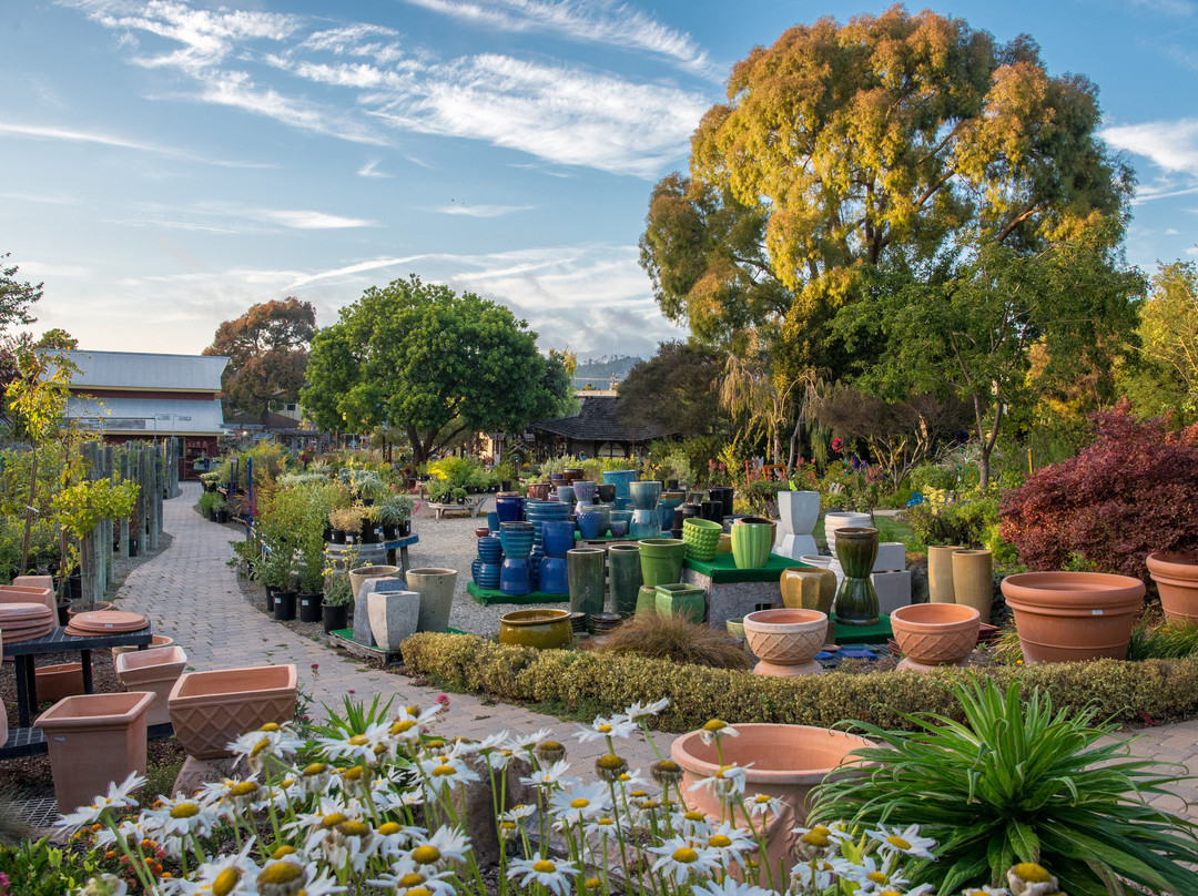 Cambria Nursery and Florist景点图片