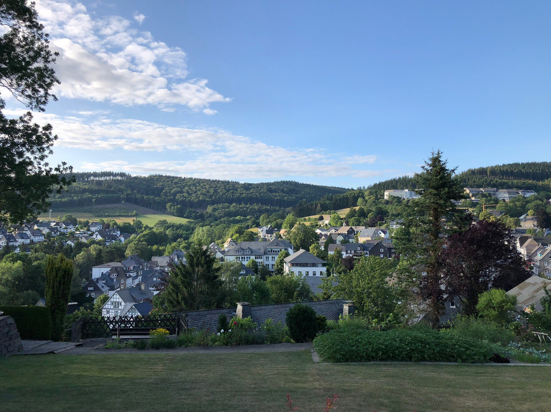 Design Hotel Sauerland主图