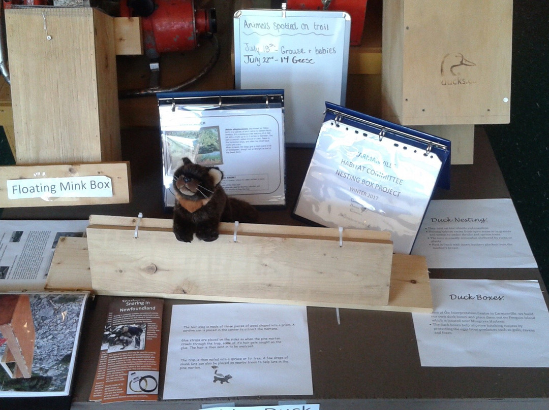 Carmanville Wetlands Interpretation Centre and Nature Trail-Carmanville必去景点