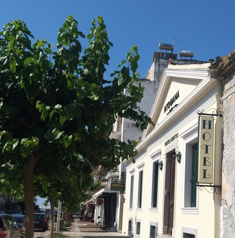 Hibiscus Hotel主图