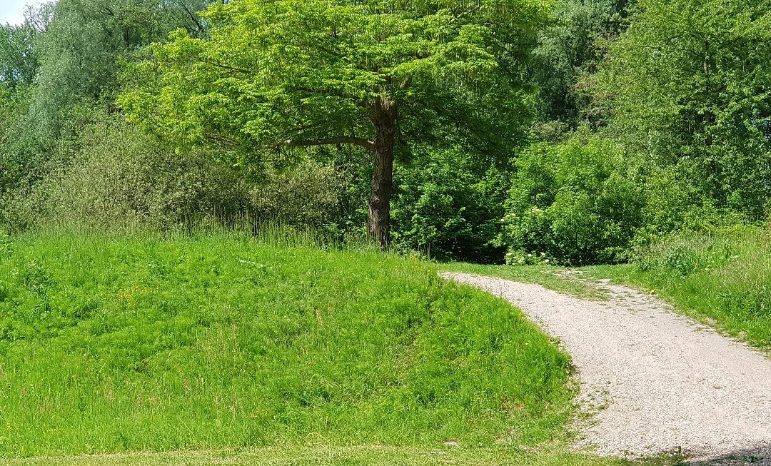 Haarlemmermeerse Bos-霍夫多普必去景点