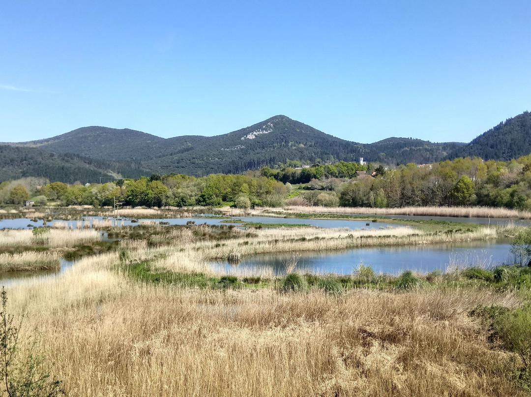 Urdaibai Bird Center景点图片