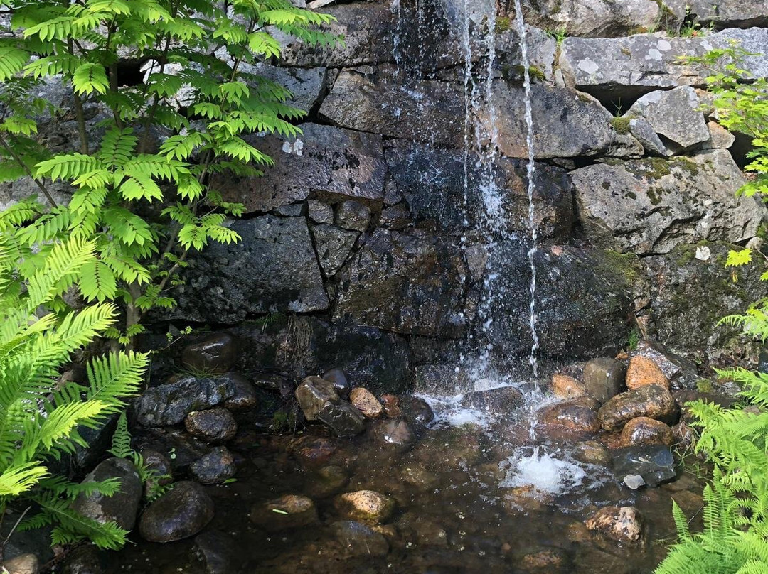 Arboretum Norr-于默奥必去景点
