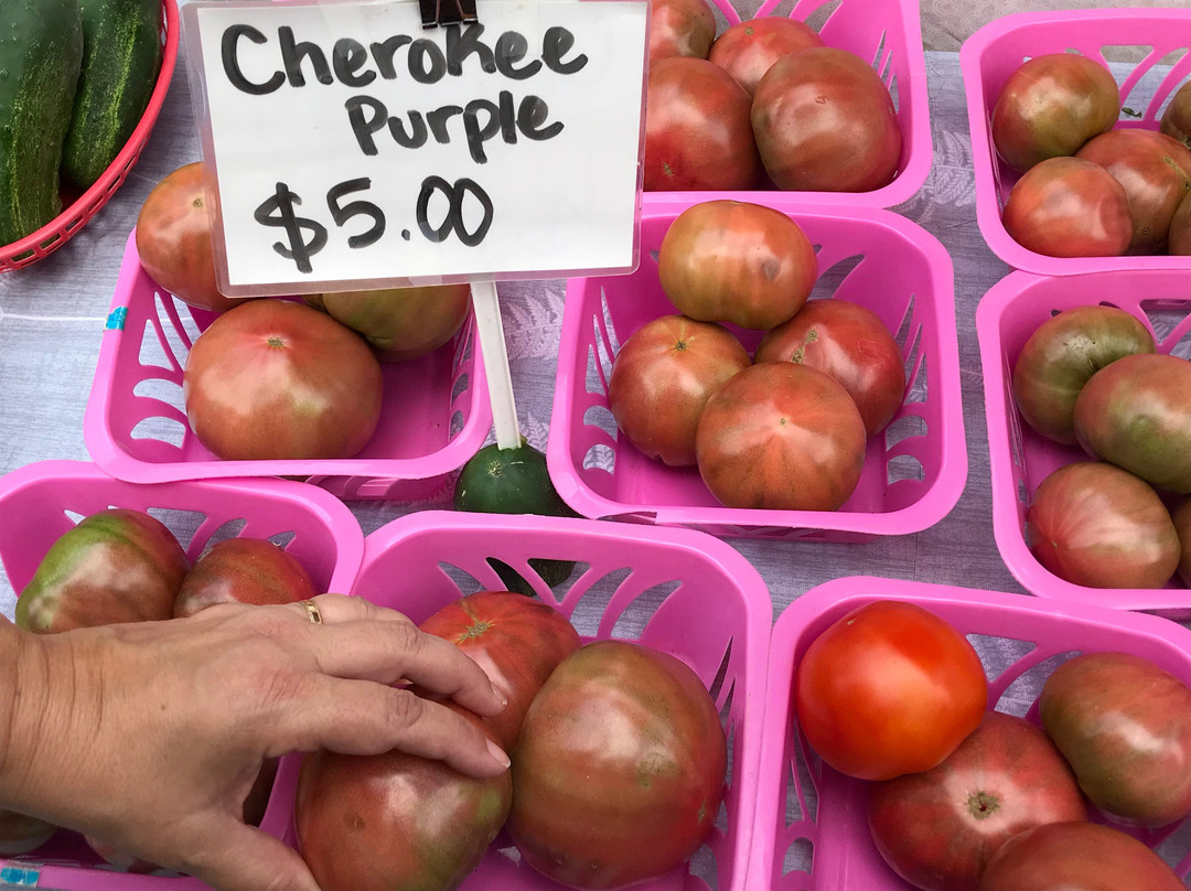 Square Gardens-费耶特维尔必去景点