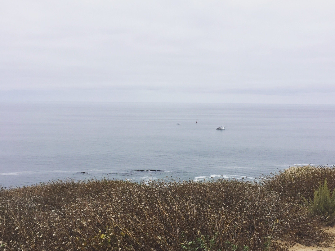 Dana Point Nature Interpretive Center景点图片