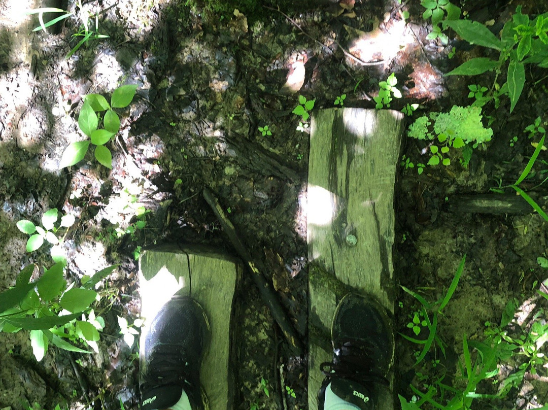 Flint Ridge Memorial State Park-Glenford必去景点