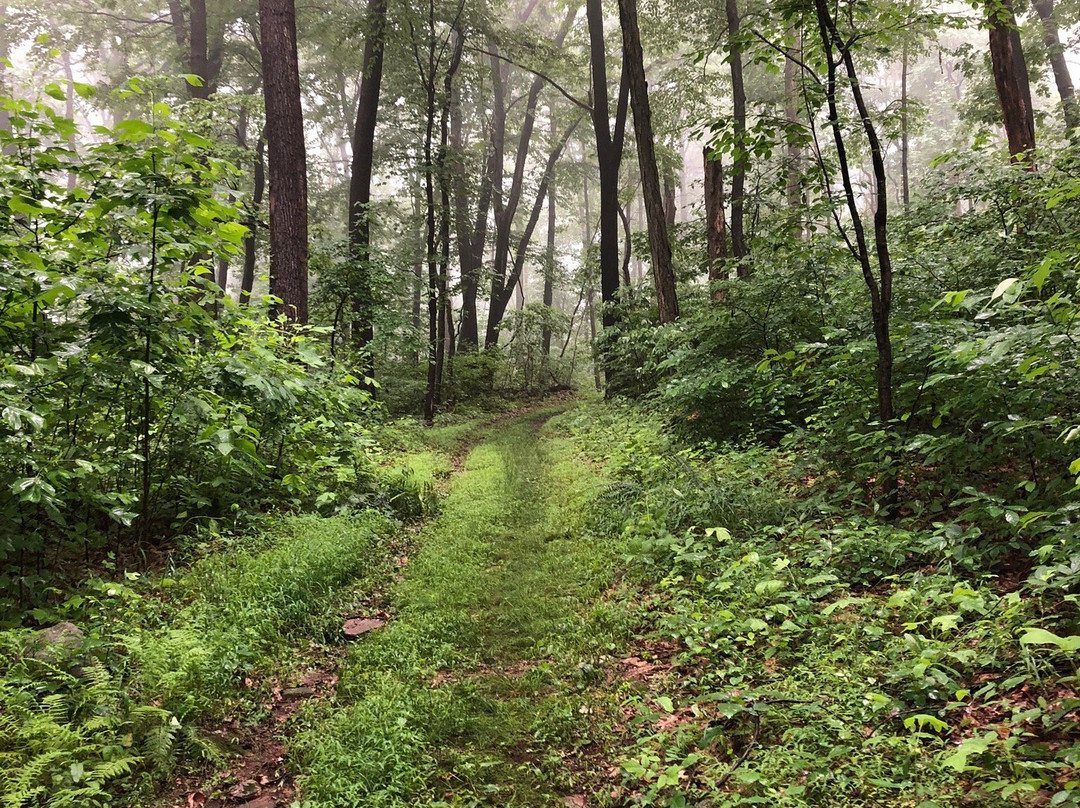 Natural Lands' Mariton Wildlife Sanctuary-Riegelsville必去景点