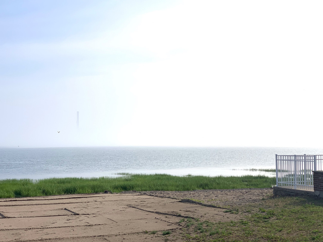 Pedego Electric Bikes SoNo-诺沃克必去景点