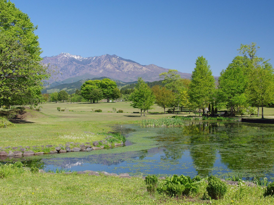 Nikko Daiyagawa Park景点图片