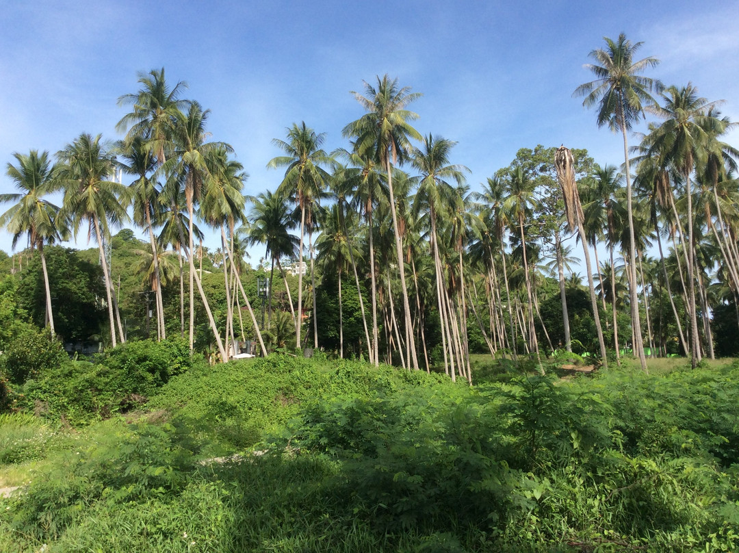 The Fisherman's Chalet 2主图