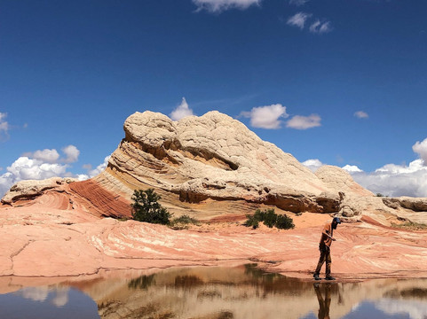 White Pocket-Grand Canyon-Parashant National Monument必去景点