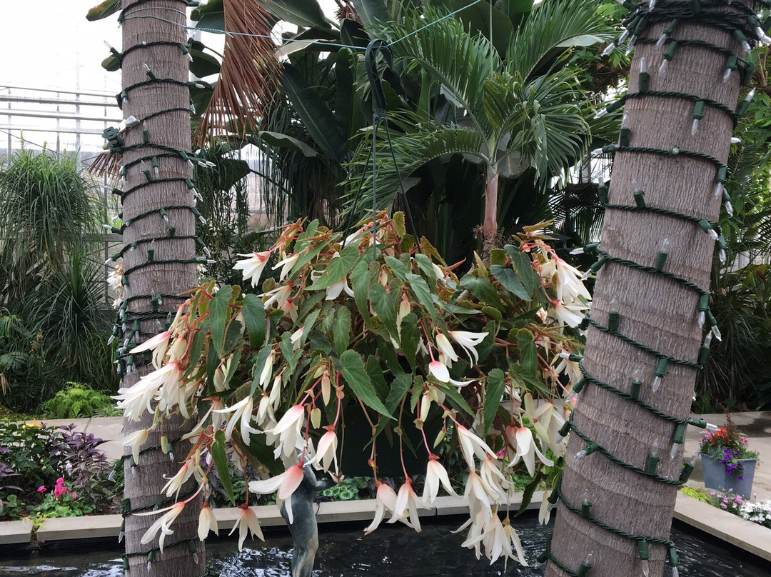 Roger Williams Park-普罗维登斯必去景点