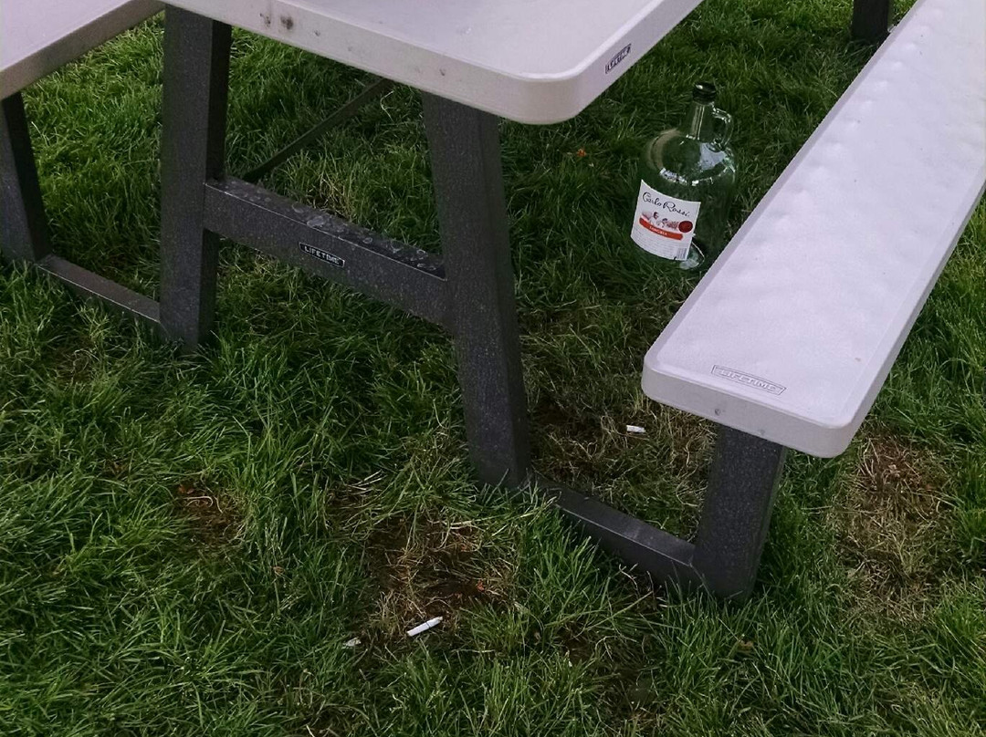 Quality Inn & Suites主图