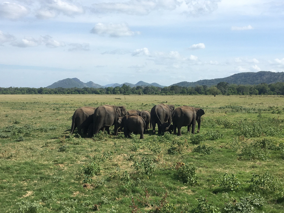 Winmi Safari-哈巴拉娜必去景点