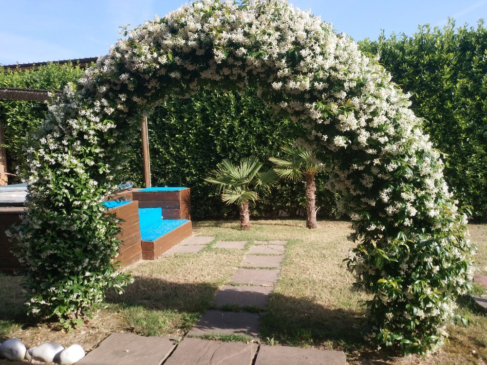 Agriturismo B&B le Gazze