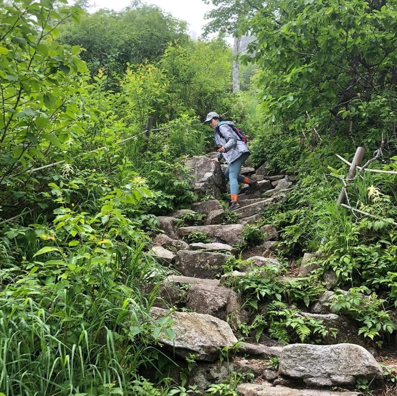 Daecheongbong Peak-襄阳郡必去景点