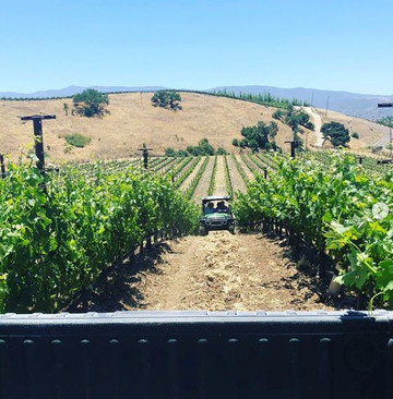 Crown Point Vineyards-圣伊内斯必去景点