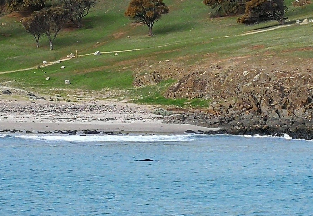 Blowhole Beach景点图片
