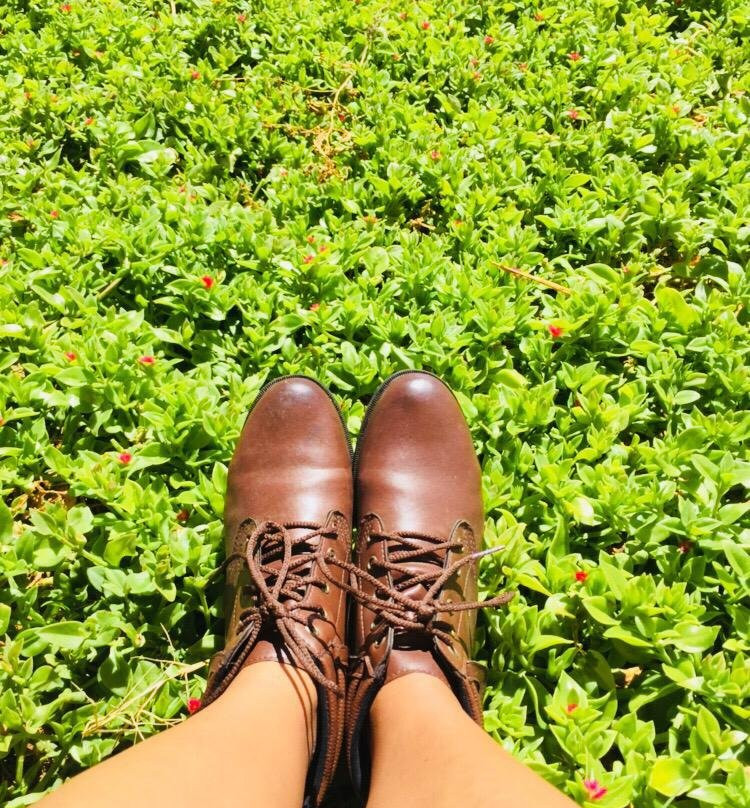 Pousada Fazenda Santa Fe主图