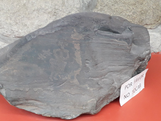 Museo de Sitio Tastil-Campo Quijano必去景点