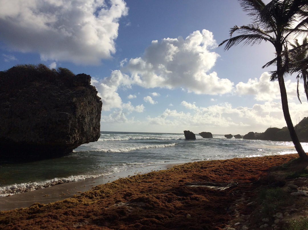 ECO Lifestyle & Lodge主图