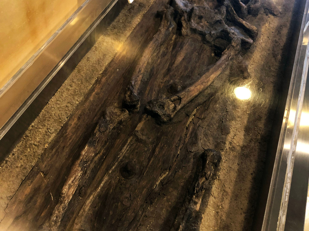 Shijonawate City Museum of History and Folklore-四条畷市必去景点